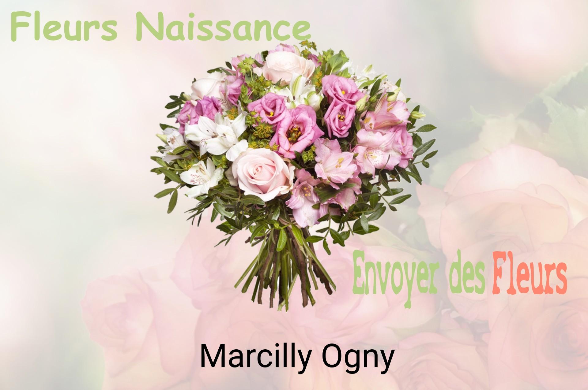 Bouquet de fleurs de naissance livré à Marcilly-Ogny
